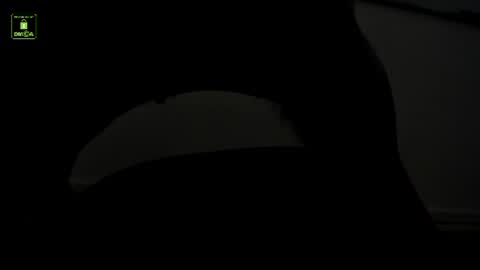Benny online show from July 15, 11:04 am