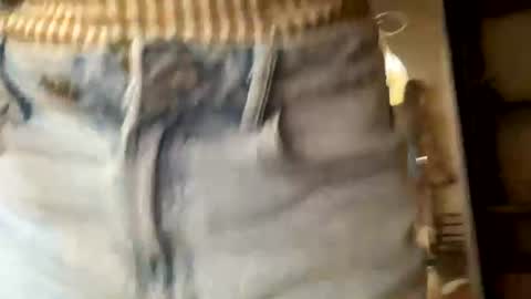 BertaxSmily online show from July 18, 8:40 am