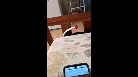 bf2506 online show from February 12, 4:18 am