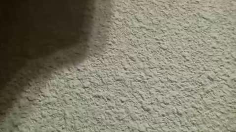 Snapshot of bgf32054 chatting on October 10, 4:44 am Bigfish123 online show from October 10, 4:44 am