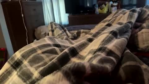 bi_guy_1993 online show from February 25, 8:51 pm