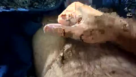 big88385909 online show from October 21, 12:11 am