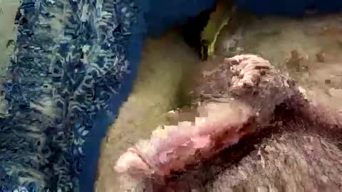 big88385909 online show from November 20, 12:44 am