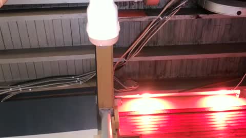 Snapshot of bigassman46 chatting on October 9, 10:08 pm Straight Dave online show from October 9, 10:08 pm