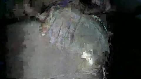 Snapshot of bigboybigbutt69 chatting on November 15, 12:02 pm bigboybigbutt69 online show from November 15, 12:02 pm