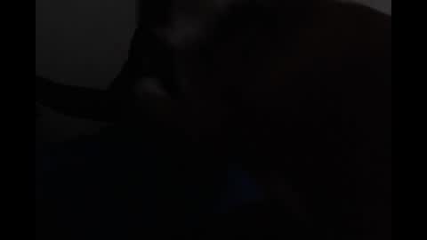 Bryson online show from April 19, 6:10 pm