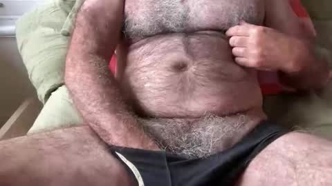 Snapshot of bigbush1 chatting on November 13, 10:52 pm big bush online show from November 13, 10:52 pm