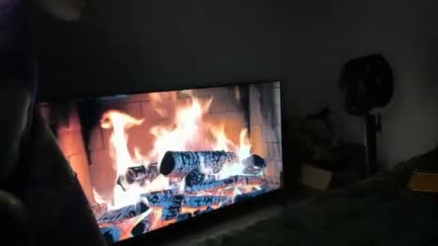 Snapshot of bigbuttsarena chatting on June 25, 4:56 am bigbuttsarena online show from June 25, 4:56 am