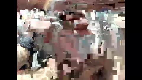 BigDaddykodack online show from September 15, 6:41 pm