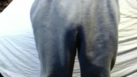 bigdickdaddy567130413 online show from January 15, 5:47 pm