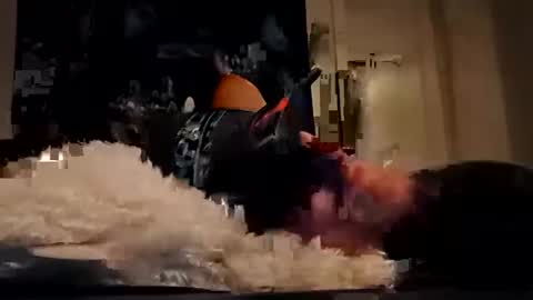 bigdickdaddy7201979564868 online show from October 19, 7:20 am