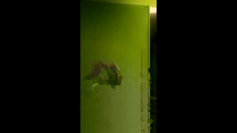 bigdog9thick online show from April 6, 8:04 am