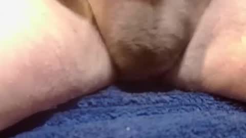 Snapshot of bigdoglog chatting on February 10, 2:26 pm BigDog online show from February 10, 2:26 pm