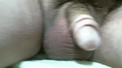 Snapshot of bigdoglog chatting on November 11, 7:03 pm BigDog online show from November 11, 7:03 pm