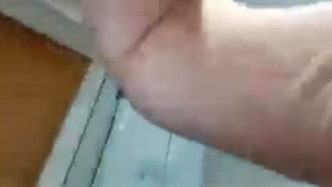 biggllh online show from July 4, 2:01 pm