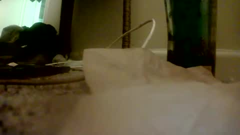 Snapshot of bigguypete1999 chatting on November 16, 1:55 am Peter Paul online show from November 16, 1:55 am