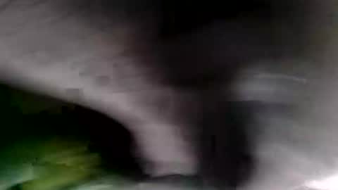 bignastyfilthy online show from January 19, 2:15 am