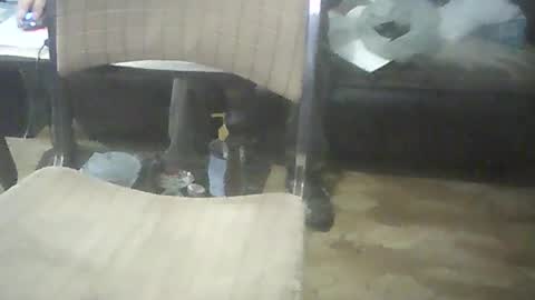 Snapshot of bigpenix chatting on October 17, 2:04 am bigpenix online show from October 17, 2:04 am