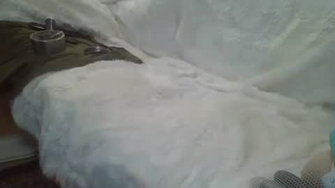 ...... online show from December 14, 5:29 am