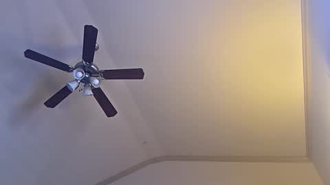 bigswoletroll online show from March 12, 7:31 pm