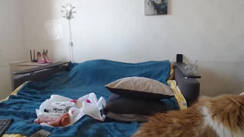 BigTwinsOmg online show from March 11, 7:36 am