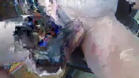 bigukphallus online show from July 10, 10:29 am