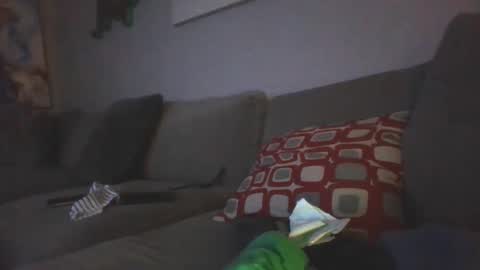 mygoosehonks online show from September 14, 10:25 am