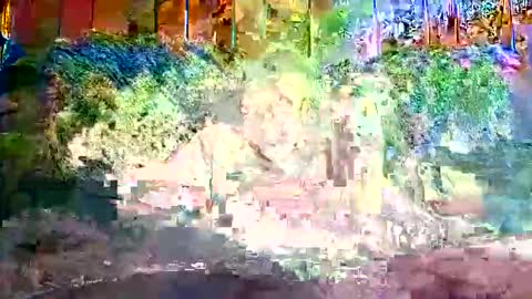 Snapshot of bigwytecock1979 chatting on December 9, 1:24 pm bigwytecock1979 online show from December 9, 1:24 pm