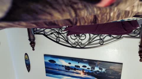 Snapshot of billy1850 chatting on March 2, 8:40 pm Starlyte online show from March 2, 8:40 pm