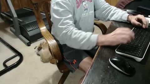 Snapshot of billy471 chatting on January 5, 9:14 pm billy471 online show from January 5, 9:14 pm