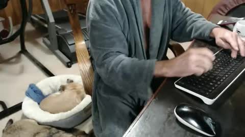 Snapshot of billy471 chatting on November 20, 3:12 pm billy471 online show from November 20, 3:12 pm