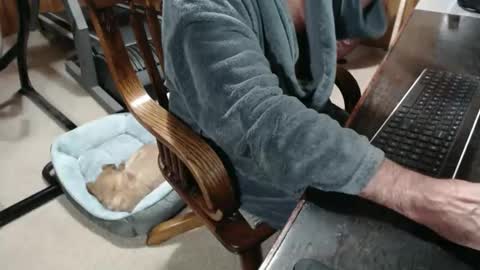 Snapshot of billy471 chatting on December 5, 10:35 am billy471 online show from December 5, 10:35 am