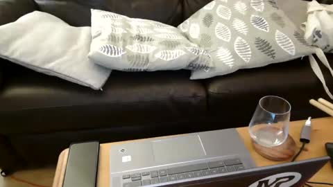 bindmedown online show from February 7, 11:13 pm