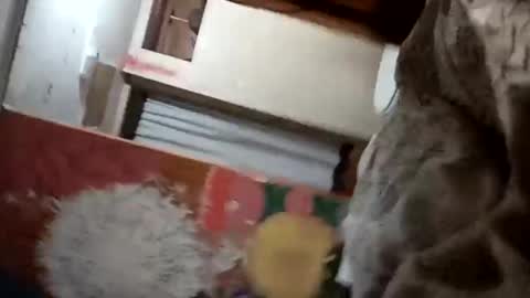 bitchassnig23401rb online show from November 5, 12:05 pm