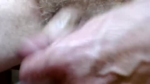 bitexan69 online show from September 20, 9:21 am