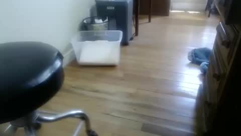 bitexan69 online show from September 30, 5:07 pm