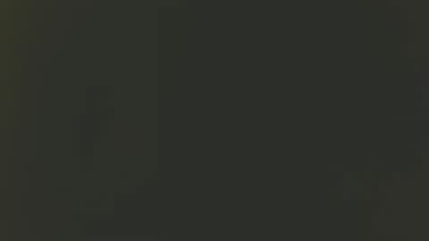 Bill online show from December 2, 3:15 am