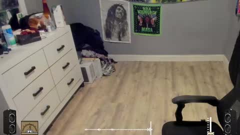 Plant Base Streamers From Pennsylvania online show from October 17, 11:29 pm