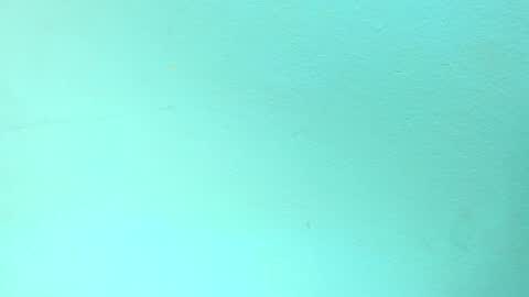 maquina online show from October 14, 8:04 am