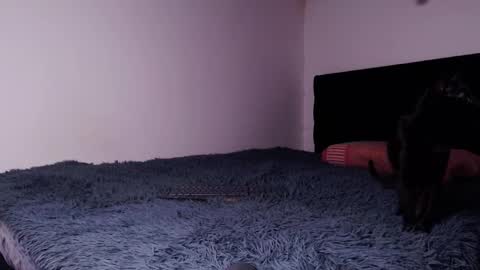 black_firex online show from October 6, 4:59 pm