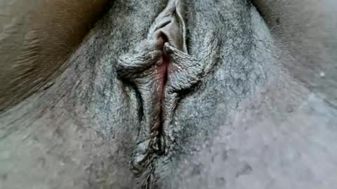 Snapshot of blackmedusaxx chatting on January 25, 1:19 pm fiona online show from January 25, 1:19 pm