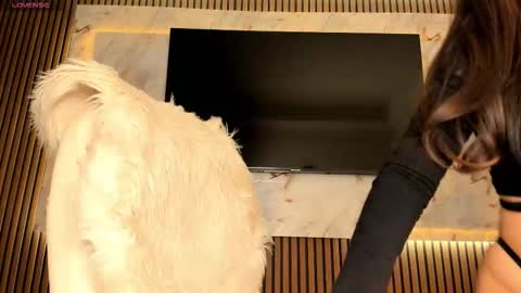 Karina online show from November 11, 2:11 am