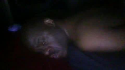 Snapshot of blackteddybear chatting on February 19, 6:20 am blackteddybear online show from February 19, 6:20 am