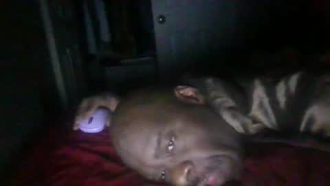 Snapshot of blackteddybear chatting on February 21, 11:33 am blackteddybear online show from February 21, 11:33 am