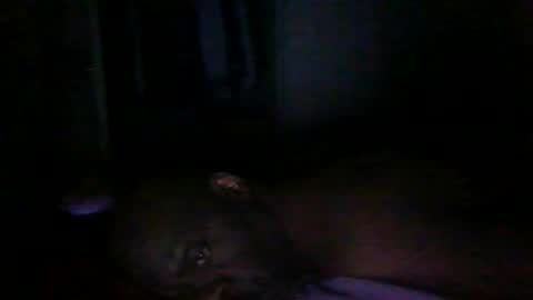 blackteddybear online show from March 9, 12:58 am