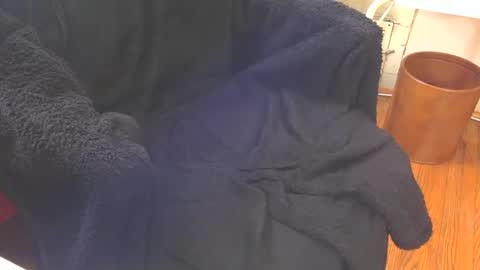 Aqua online show from February 18, 6:47 pm