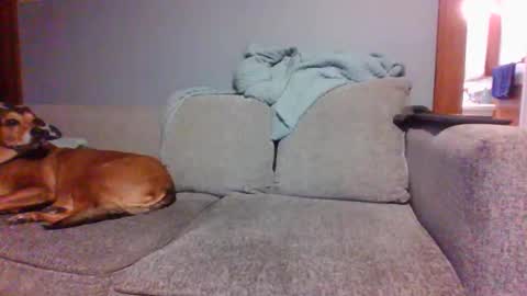 blaw_1321 online show from March 5, 9:59 pm