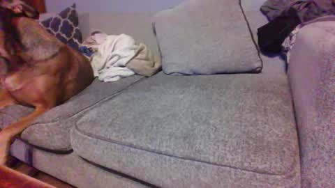 blaw_1321 online show from January 10, 7:04 pm