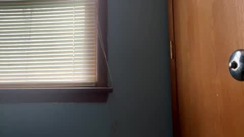 Snapshot of blissfulfoxtrot chatting on April 28, 1:38 pm Blissful Foxtrot online show from April 28, 1:38 pm