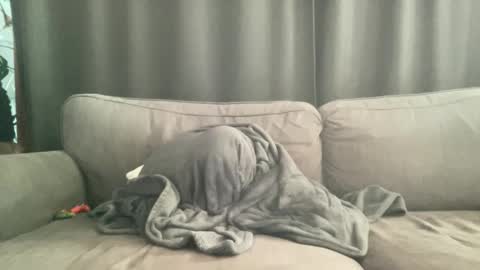 BlIdoL online show from November 6, 9:10 am